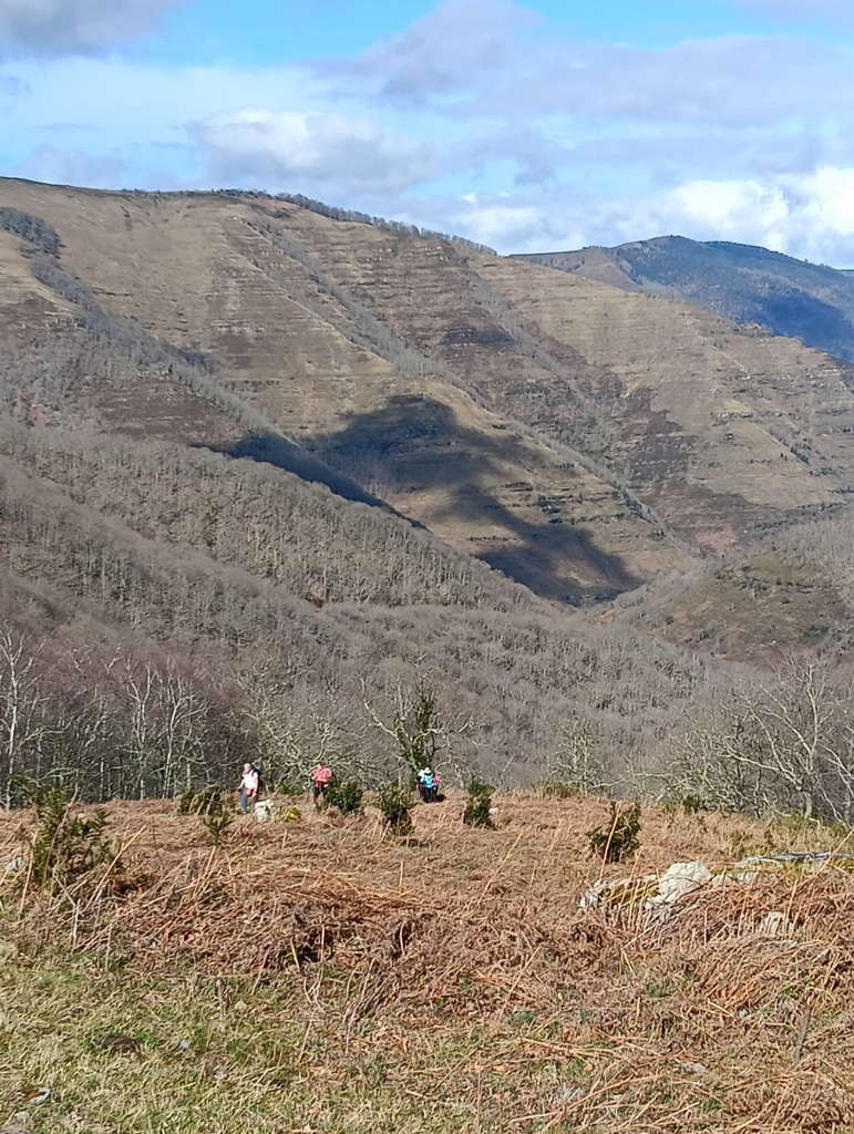 WhatsApp Image 2026-03-08 at 19.34.24 (1)